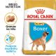Royal Canin Boxer Puppy granule pro štěně boxera 12 Kg