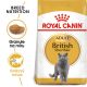 Royal Canin British Shorthair Adult granule pro britské krátkosrsté kočky 2 Kg