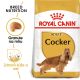 Royal Canin Cocker Adult granule pro dospělého kokršpaněla 3 Kg