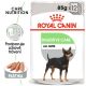 Royal Canin Digestive Care Dog Loaf kapsička 85 g