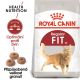 Royal Canin Fit granule pro správnou kondici koček 10 Kg