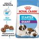 Royal Canin Giant Starter Mother&Babydog granule pro březí nebo kojící feny a štěňata obřích plemen 15 Kg