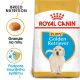 Royal Canin Golden Retriever Puppy granule pro štěně zlatého retrívra 12 Kg