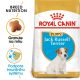Royal Canin Jack Russell Puppy granule pro štěně jack russell teriéra 1.5 Kg