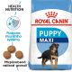Royal Canin Maxi Puppy granule pro velká štěňata 15 Kg