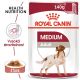 Royal Canin Medium Adult kapsička pro dospělé střední psy 140 g