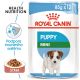 Royal Canin Mini Puppy kapsička pro malá štěňata 85 g