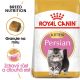 Royal Canin Persian Kitten granule pro perská koťata 2 Kg