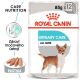Royal Canin Urinary Care Dog Loaf kapsička 85 g