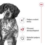 Royal Canin Medium Adult granule pro dospělé psy středních plemen starší 12 měsíců - 15 kg