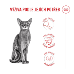 Royal Canin Fussy granule pro velmi vybíravé dospělé kočky - 4 kg