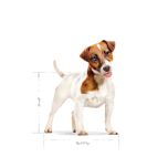 Royal Canin Mini Adult granule pro dospělé psy malých plemen - 2 kg