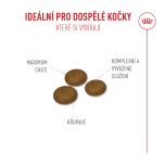 Royal Canin Fussy granule pro velmi vybíravé dospělé kočky - 4 kg