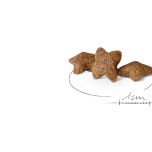 Royal Canin Mini Adult granule pro dospělé psy malých plemen - 2 kg