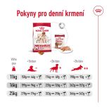 Royal Canin Medium Adult granule pro dospělé psy středních plemen starší 12 měsíců - 15 kg
