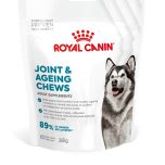 Royal Canin Supplements Dog Joint & Ageing Adult suplementy pro psy na podporu zdravého stárnutí a kvality kloubů - 240 g