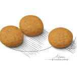 Royal Canin Medium Dermacomfort granule pro dospělé psy středních plemen s citlivou kůží - 12 kg