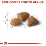 Royal Canin Savour Exigent granule pro mlsné dospělé kočky - 400 g