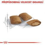 Royal Canin Ageing 12+ granule pro staré kočky 400 g