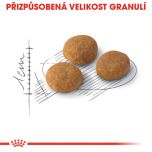 Royal Canin Aromatic Exigent granule pro mlsné kočky 4 Kg
