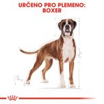 Royal Canin Boxer Adult granule pro dospělého boxera 12 Kg