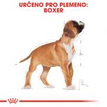 Royal Canin Boxer Puppy granule pro štěně boxera 12 Kg