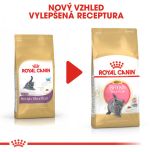 Royal Canin British Shorthair Kitten granule pro britská krátkosrstá koťata 2 Kg