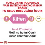 Royal Canin British Shorthair Kitten granule pro britská krátkosrstá koťata 2 Kg