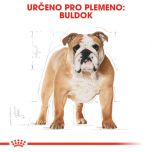 Royal Canin Bulldog Adult granule pro dospělého buldoka 3 Kg