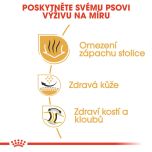 Royal Canin Bulldog Adult granule pro dospělého buldoka 3 Kg