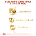 Royal Canin Cavalier King Charles Adult granule pro dospělého kavalír king charles španěl 1.5 Kg