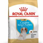 Royal Canin Cavalier King Charles Puppy granule pro štěně kavalír king charles španěl 1.5 Kg