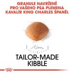 Royal Canin Cavalier King Charles Puppy granule pro štěně kavalír king charles španěl 1.5 Kg