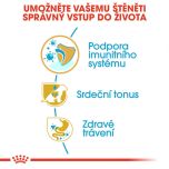 Royal Canin Cavalier King Charles Puppy granule pro štěně kavalír king charles španěl 1.5 Kg