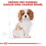 Royal Canin Cavalier King Charles Puppy granule pro štěně kavalír king charles španěl 1.5 Kg