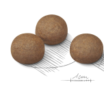 Royal Canin Maxi Digestive Care granule pro dospělé psy velkých plemen s citlivým trávením - 12 kg