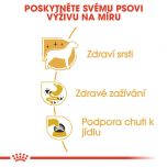 Royal Canin Chihuahua Loaf kapsička s paštikou pro čivavu 85 g