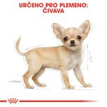 Royal Canin Chihuahua Puppy granule pro štěně čivavy 1.5 Kg
