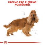 Royal Canin Cocker Adult granule pro dospělého kokršpaněla 3 Kg