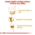 Royal Canin Cocker Adult granule pro dospělého kokršpaněla 3 Kg