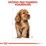 Royal Canin Cocker Puppy granule pro štěně kokršpaněla 3 Kg