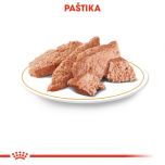 Royal Canin Dachshund Loaf kapsička s paštikou pro jezevčíka 85 g