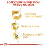Royal Canin Dachshund Loaf kapsička s paštikou pro jezevčíka 85 g