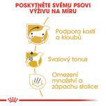 Royal Canin Dachshund Adult granule pro dospělého jezevčíka 500 g