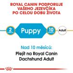 Royal Canin Dachshund Puppy granule pro štěně jezevčíka 1.5 Kg
