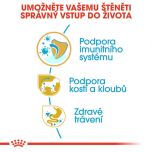 Royal Canin Dachshund Puppy granule pro štěně jezevčíka 1.5 Kg