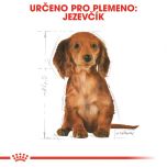 Royal Canin Dachshund Puppy granule pro štěně jezevčíka 1.5 Kg