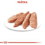 Royal Canin Digestive Care Dog Loaf kapsička s paštikou pro psy s citlivým trávením 85 g