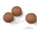 Royal Canin Medium Digestive Care granule pro dospělé psy středních plemen s citlivým trávením - 12 kg