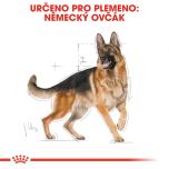 Royal Canin German Shepherd Adult granule pro dospělého německého ovčáka 11 Kg